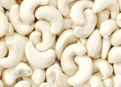 Cashew Nuts Product Exporters in Chennai