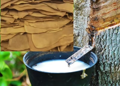 Organic Rubber Product Exporters in Chennai