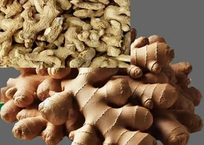 Spice Exporters in Chennai