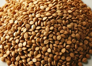 Spice Exporters in Chennai